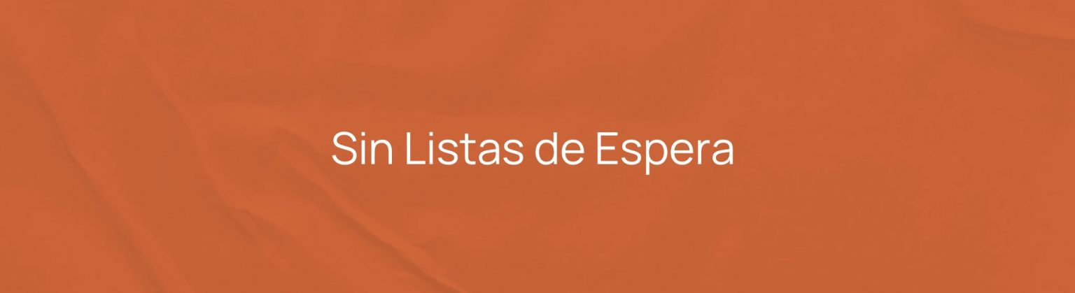 Copia de Renu - INTRODUCCIÓN-1007 (1).pdf - 2