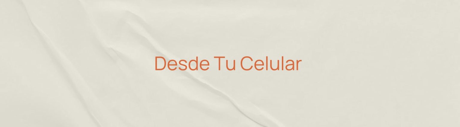 Copia de Renu - INTRODUCCIÓN-1007 (1).pdf - 3